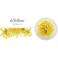 SMint レースフラワー 6.Yellow