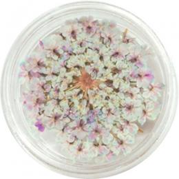 SMint レースフラワー 7.Pale Lavender