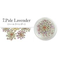SMint レースフラワー 7.Pale Lavender
