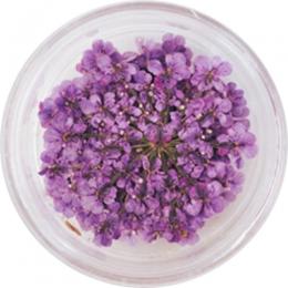 SMint レースフラワー 8.Purple