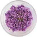 SMint レースフラワー 8.Purple