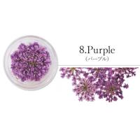 SMint レースフラワー 8.Purple