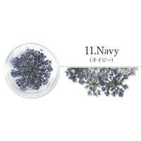 SMint レースフラワー 11.Navy