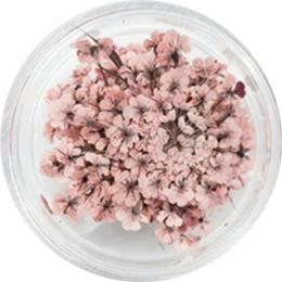 SMint レースフラワー 12.Old Rose