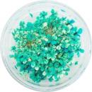 SMint レースフラワー 13.Turquoise
