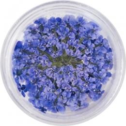 SMint レースフラワー 14.Royal Blue