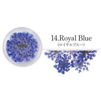 SMint レースフラワー 14.Royal Blue
