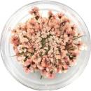 SMint レースフラワー 15.Light Peach