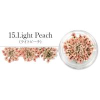SMint レースフラワー 15.Light Peach