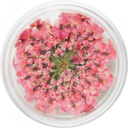SMint レースフラワー 17.Cherry Pink