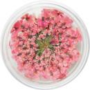 SMint レースフラワー 17.Cherry Pink