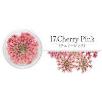SMint レースフラワー 17.Cherry Pink