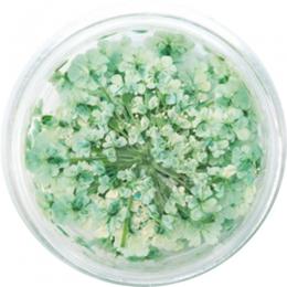 SMint レースフラワー 19.Water Green