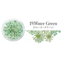 SMint レースフラワー 19.Water Green
