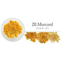 SMint レースフラワー 20.Mustard
