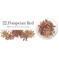SMint レースフラワー 22.Pompeian Red