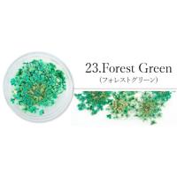 SMint レースフラワー 23.Forest Green