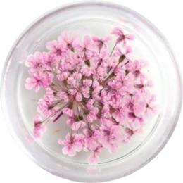 SMint レースフラワー 25.Pink