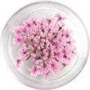 SMint レースフラワー 25.Pink