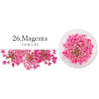 SMint レースフラワー 26.Magenta