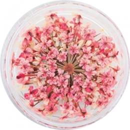 SMint レースフラワー 27.Coral Pink