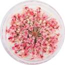SMint レースフラワー 27.Coral Pink