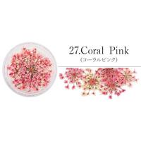 SMint レースフラワー 27.Coral Pink