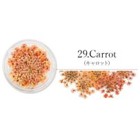 SMint レースフラワー 29.Carrot