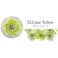 SMint レースフラワー 33.Lime Yellow