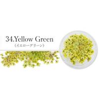 SMint レースフラワー 34.Yellow Green