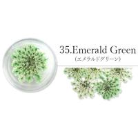 SMint レースフラワー 35.Emerald Green