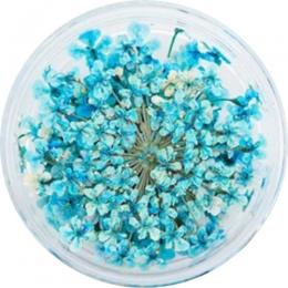 SMint レースフラワー 36.Sky Blue