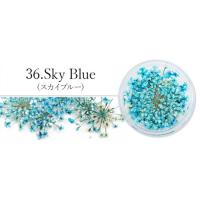 SMint レースフラワー 36.Sky Blue