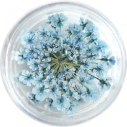 SMint レースフラワー 37.Steal Blue