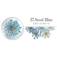 SMint レースフラワー 37.Steal Blue