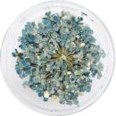 SMint レースフラワー39.Blue Fog