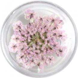 SMint レースフラワー40.Lavender Pink