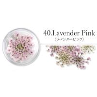SMint レースフラワー40.Lavender Pink