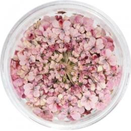 SMint レースフラワー41.Mauve Pink