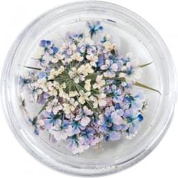 SMint レースフラワー43.Lapis Lazuli