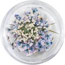 SMint レースフラワー43.Lapis Lazuli