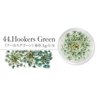 SMint レースフラワー44.Hookers Green