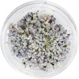 SMint レースフラワー45.Fountain Blue