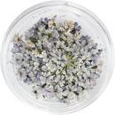 SMint レースフラワー45.Fountain Blue