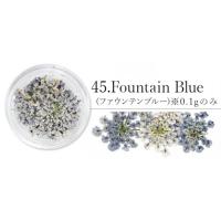 SMint レースフラワー45.Fountain Blue