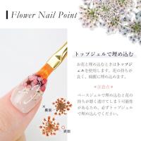 SMint レースフラワー45.Fountain Blue