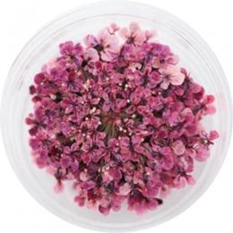 SMint レースフラワー46.Ruby Pink