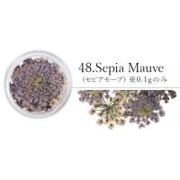 SMint レースフラワー48.Sepia Mauve