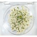 SMint レースフラワーグリッター1.Glitter Natural
