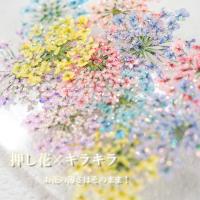 SMint レースフラワーグリッター1.Glitter Natural